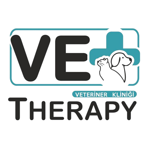 Vet Therapy Veteriner Kliniği | Eskişehir Odunpazarı Acil Veteriner Kliniği | Eskişehir Odunpazarı Veteriner Kliniği| Eskişehir Odunpazarı Kısırlaştıma